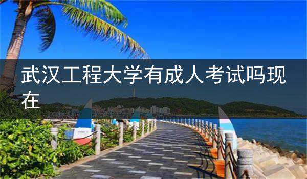 武汉工程大学有成人考试吗现在