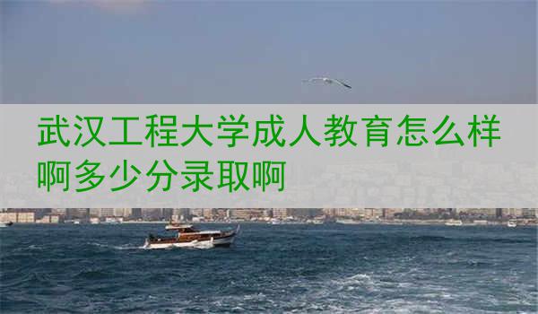 武汉工程大学成人教育怎么样啊多少分录取啊