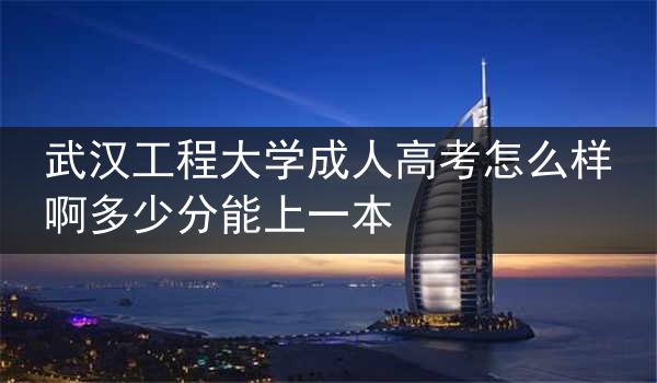 武汉工程大学成人高考怎么样啊多少分能上一本