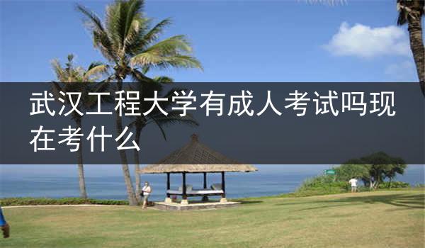 武汉工程大学有成人考试吗现在考什么