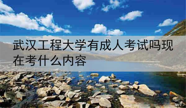 武汉工程大学有成人考试吗现在考什么内容