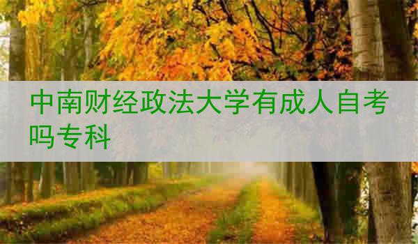 中南财经政法大学有成人自考吗专科