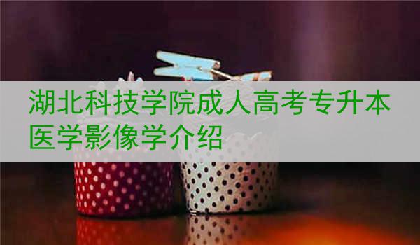 湖北科技学院成人高考专升本医学影像学介绍